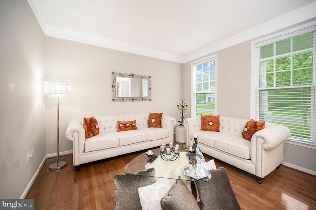 living room featuring crown molding, plenty of natural light, and wood-type flooring