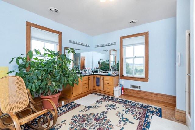 bathroom with hardwood / wood-style flooring, vanity, and a healthy amount of sunlight