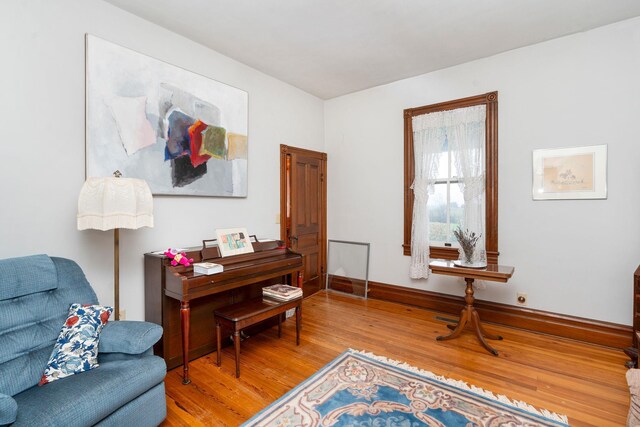 sitting room featuring wood-type flooring