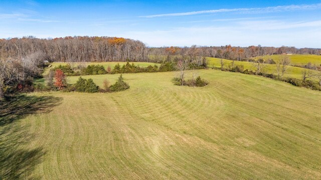 birds eye view of property featuring a rural view