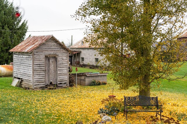 view of yard with a storage shed