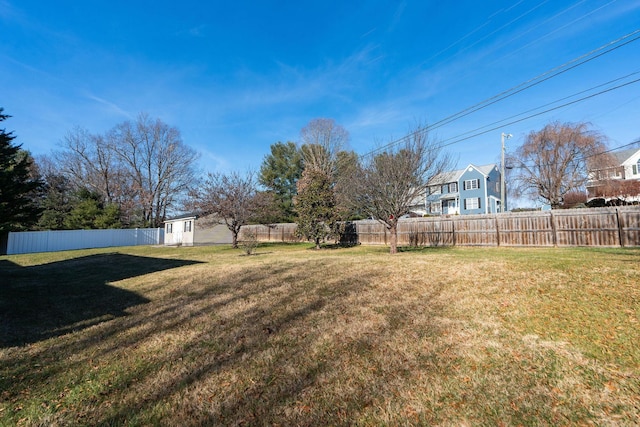 view of yard featuring a shed