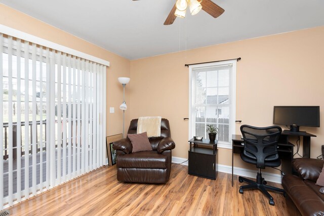 office space featuring hardwood / wood-style floors and ceiling fan