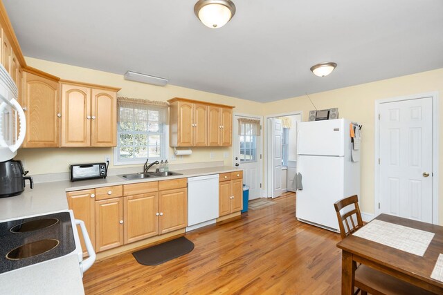 kitchen featuring white appliances, light brown cabinetry, sink, and light wood-type flooring