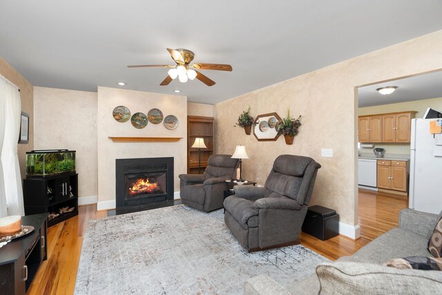 living room featuring ceiling fan and light hardwood / wood-style flooring