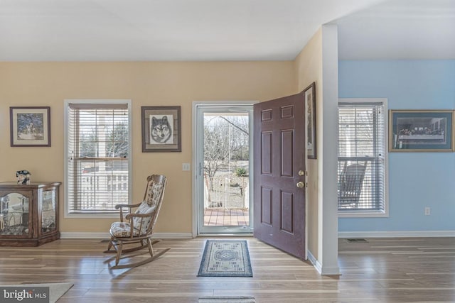 entrance foyer with wood-type flooring and a wealth of natural light