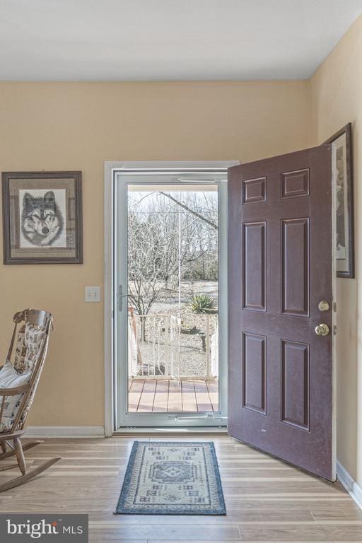 entryway with light hardwood / wood-style flooring