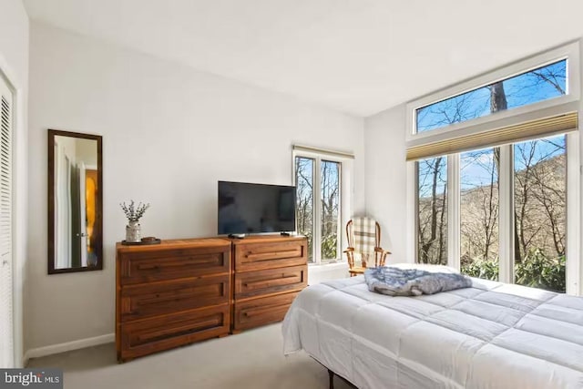 bedroom with multiple windows, carpet, a closet, and baseboards