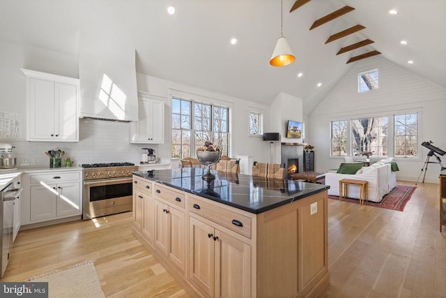 kitchen featuring stainless steel appliances, open floor plan, light wood-style flooring, and a lit fireplace