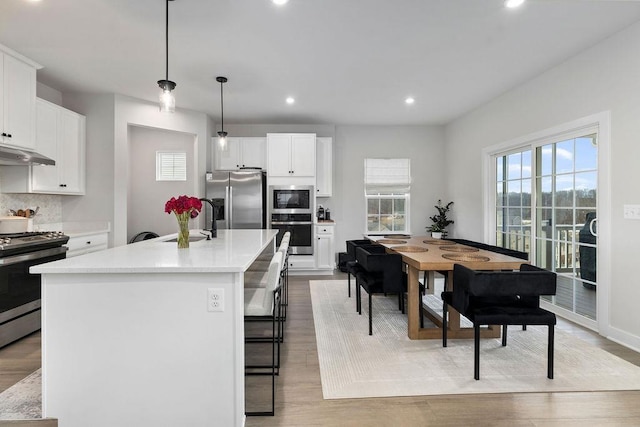 kitchen with light wood finished floors, appliances with stainless steel finishes, light countertops, under cabinet range hood, and a sink