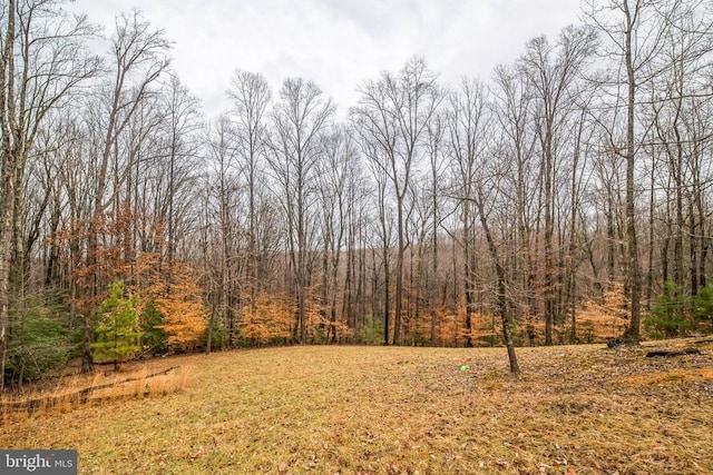 view of yard with a wooded view