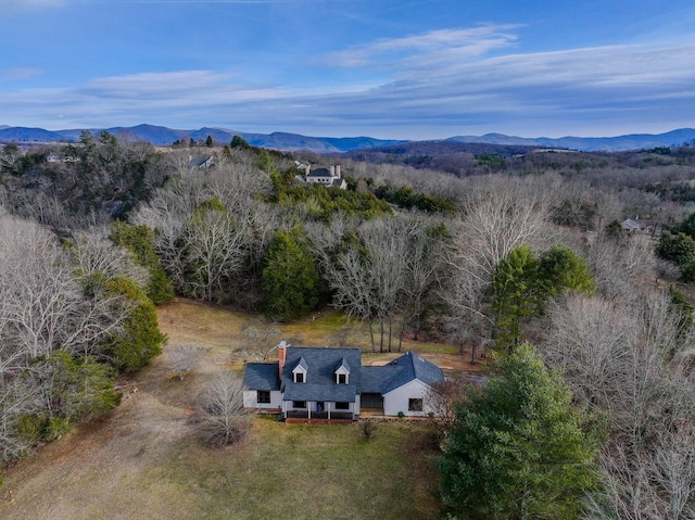 birds eye view of property with a mountain view