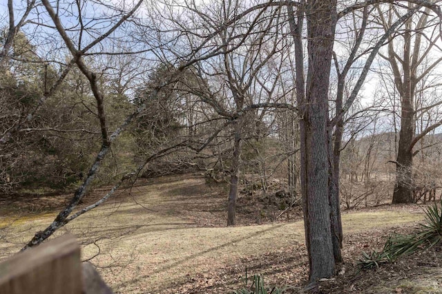 view of local wilderness