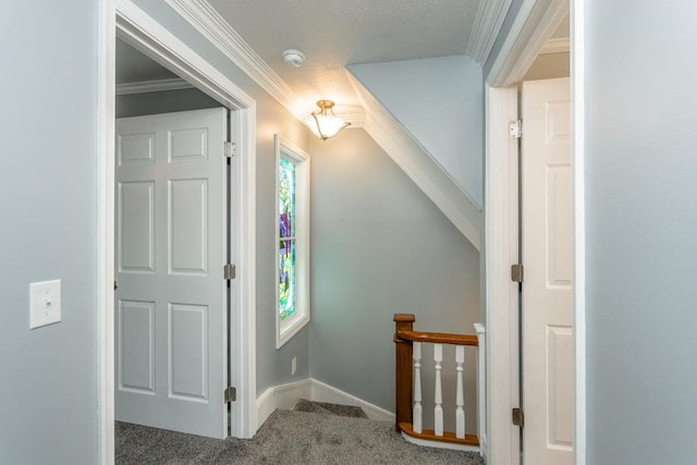 foyer entrance with ornamental molding, carpet, and plenty of natural light