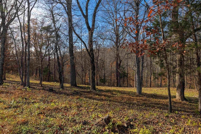 Listing photo 2 for 1.52ACRES Old Lynchburg Rd, North Garden VA 22959