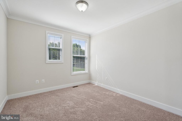 spare room with baseboards, carpet flooring, visible vents, and crown molding