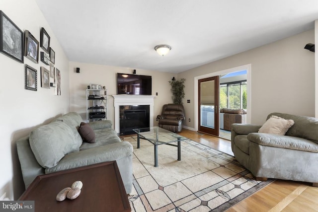 living area featuring light wood finished floors and a glass covered fireplace