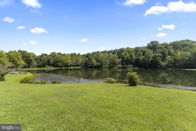 view of water feature featuring a view of trees