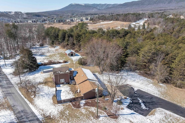 bird's eye view with a mountain view