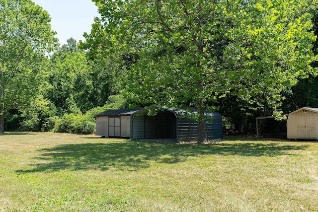 view of yard with a carport and a storage unit