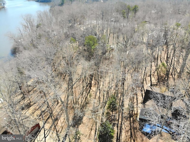 drone / aerial view featuring a water view and a view of trees