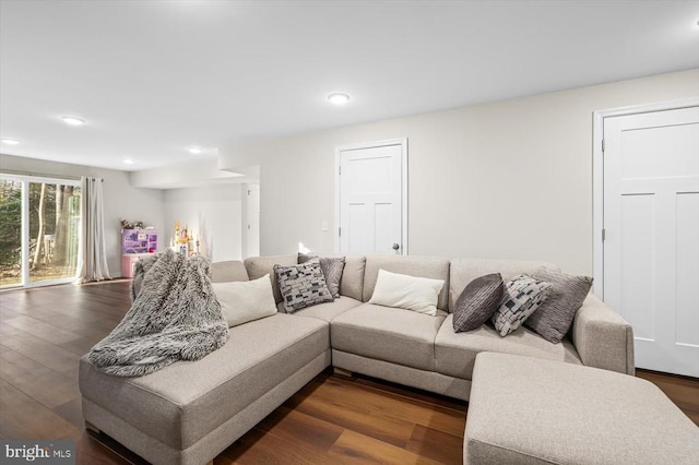 living room with dark wood-type flooring