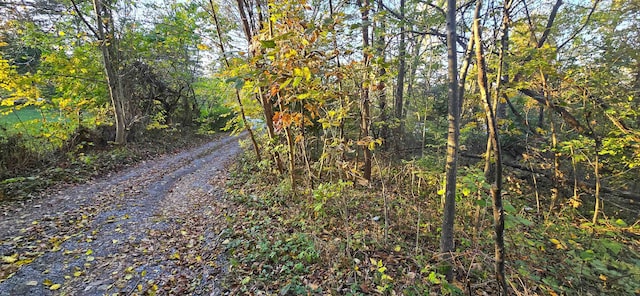 Cave Spring Ln, Edinburg VA, 22824 land for sale