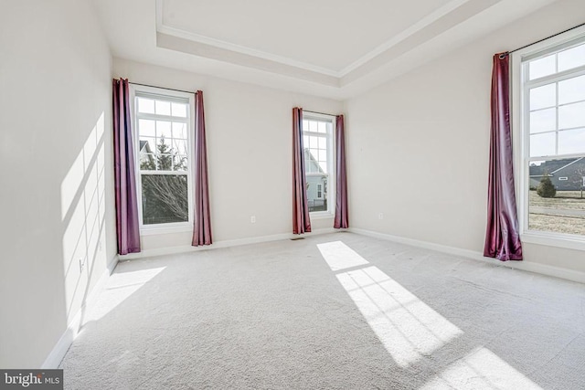 carpeted empty room with crown molding, plenty of natural light, and a tray ceiling