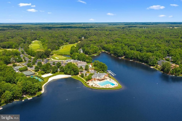 bird's eye view with a view of trees and a water view