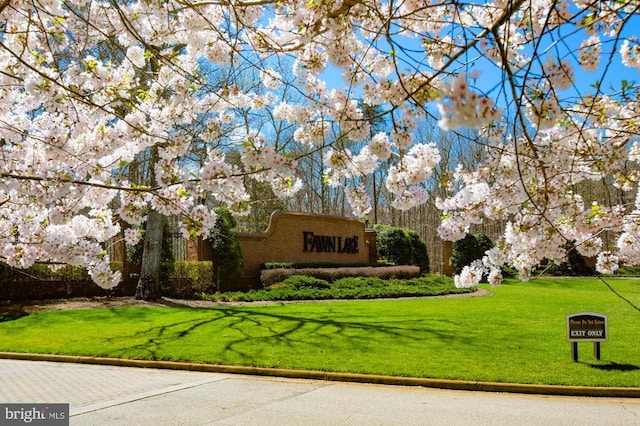 exterior space with a yard