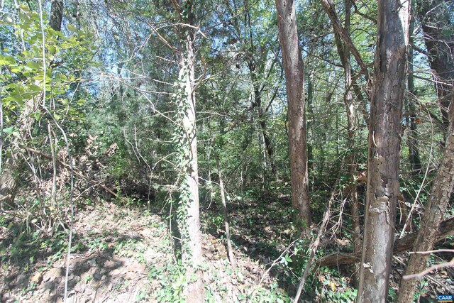 Listing photo 2 for TBD Toco Hl, North Garden VA 22959