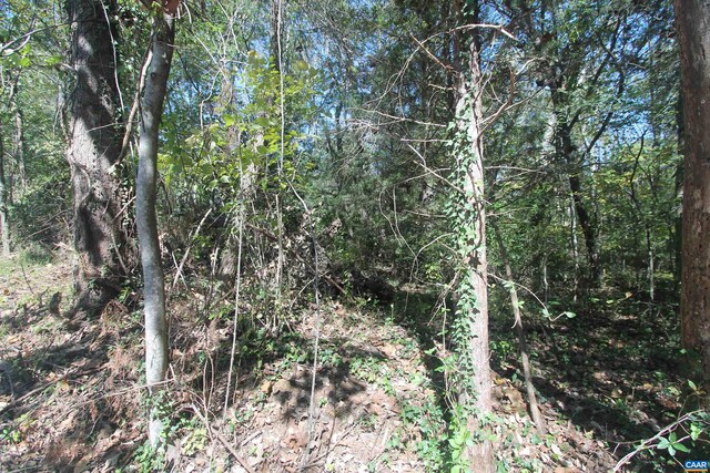 Listing photo 3 for TBD Toco Hl, North Garden VA 22959