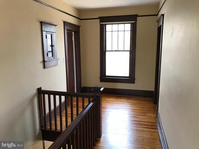 empty room with dark hardwood / wood-style floors