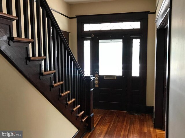 entryway featuring dark hardwood / wood-style flooring and a wealth of natural light