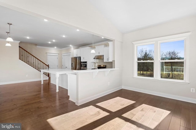 kitchen featuring a breakfast bar, a sink, under cabinet range hood, dark wood-style floors, and stainless steel appliances