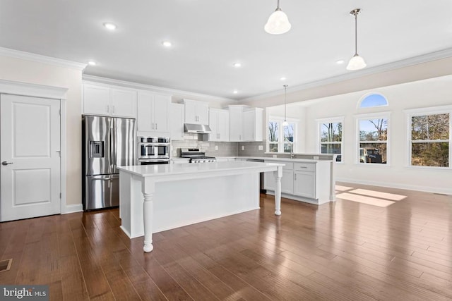 kitchen with under cabinet range hood, light countertops, decorative backsplash, a peninsula, and stainless steel appliances