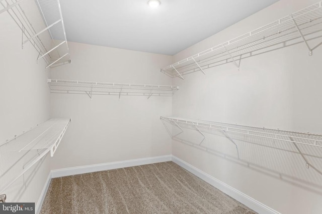 spacious closet with carpet floors