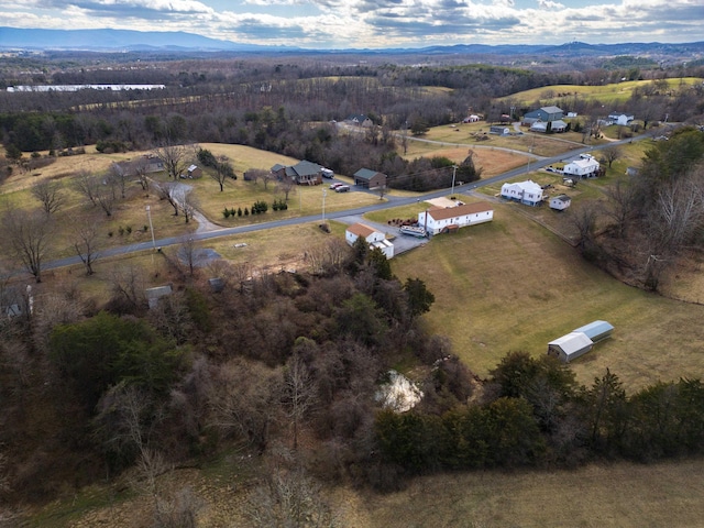 drone / aerial view with a rural view, a mountain view, and a view of trees