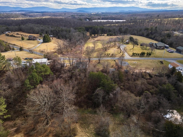 drone / aerial view with a wooded view, a rural view, and a mountain view