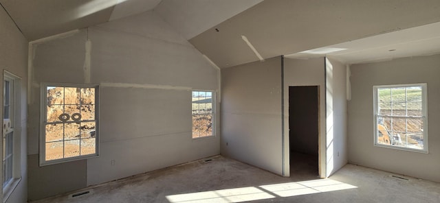 interior space with lofted ceiling and a wealth of natural light