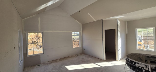 interior space with lofted ceiling