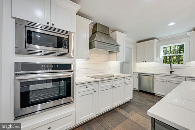 kitchen featuring premium range hood, sink, white cabinetry, stainless steel appliances, and decorative backsplash