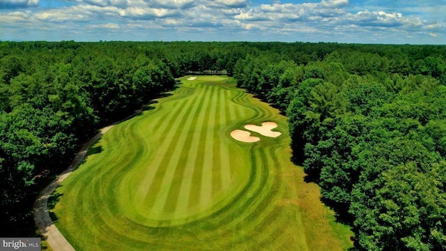 bird's eye view featuring a view of trees and golf course view