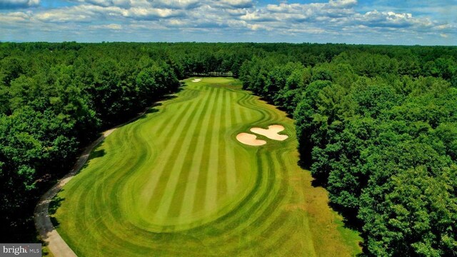 aerial view with a forest view and golf course view