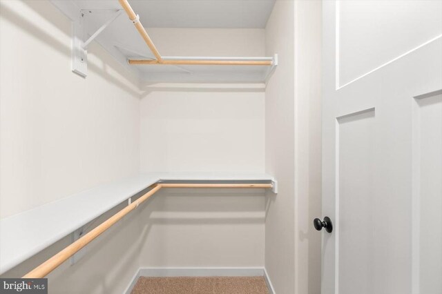 walk in closet featuring carpet floors