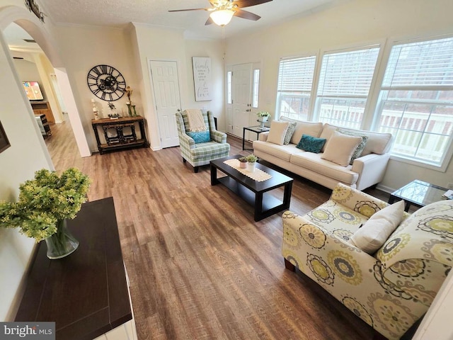 living room featuring a ceiling fan, wood finished floors, arched walkways, and a healthy amount of sunlight