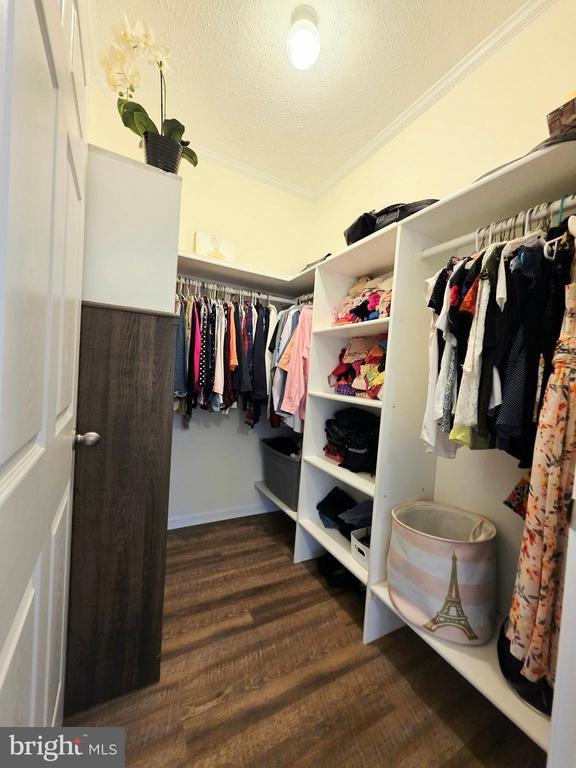 spacious closet with wood finished floors