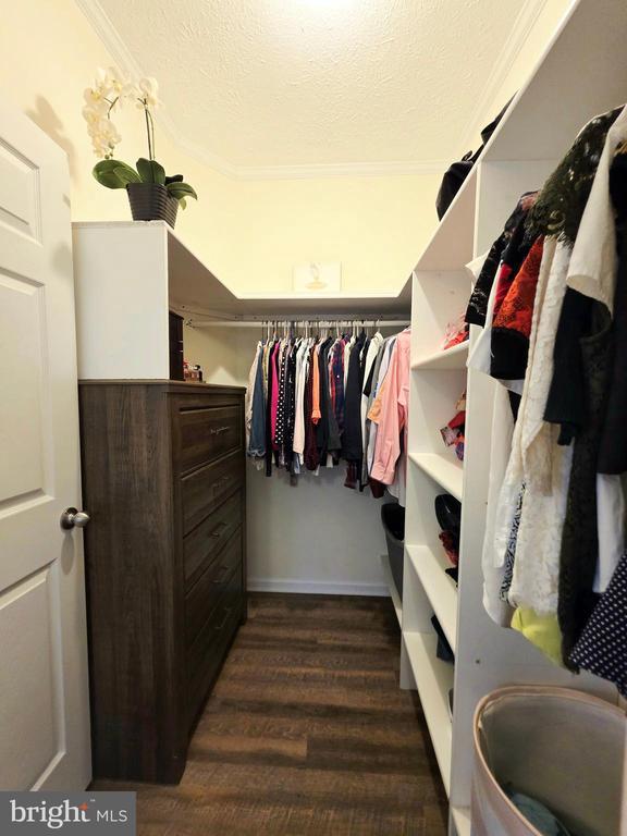 walk in closet with dark wood-style floors