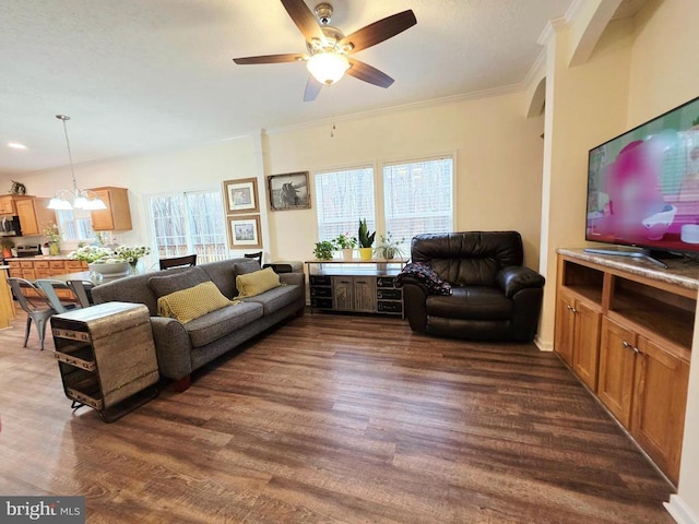 living room featuring ceiling fan with notable chandelier, dark wood-type flooring, and crown molding