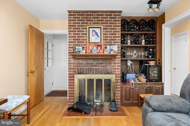 living room featuring a fireplace and light wood-type flooring